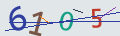 verifycode